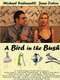 A Bird in the Bush