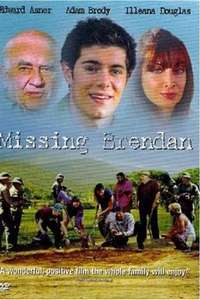 Missing Brendan - Poster
