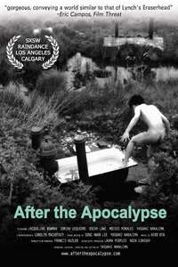 After the Apocalypse - Poster