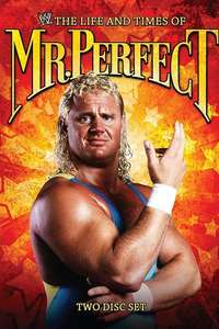 The Life and Times of Mr. Perfect - Poster