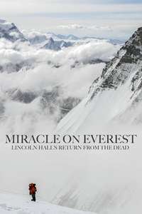 Miracle on Everest - Poster