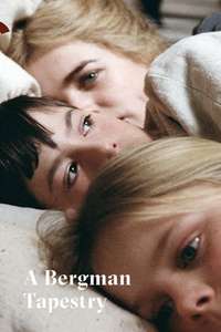 A Bergman Tapestry - Poster