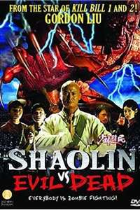Shaolin vs. Evil Dead - Poster