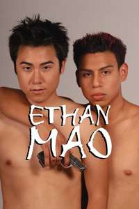 Ethan Mao - Poster