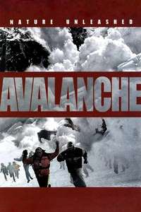 Nature Unleashed:  Avalanche - Poster