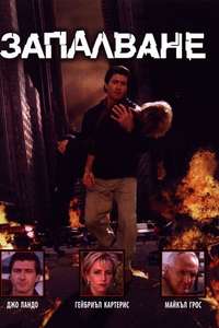 Combustion - Poster