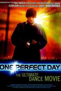One Perfect Day - Poster