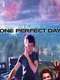 One Perfect Day
