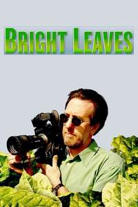 Bright Leaves - Poster