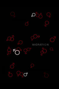 Migration - Poster