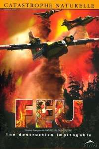 Nature Unleashed: Fire - Poster