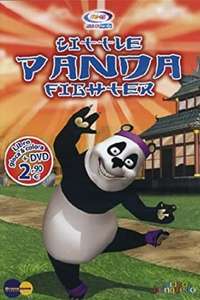 The Little Panda Fighter - Poster