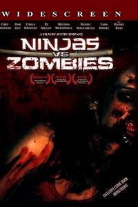 Ninjas vs. Zombies - Poster