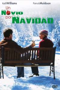 A Boyfriend for Christmas - Poster