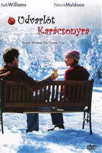 A Boyfriend for Christmas - Poster