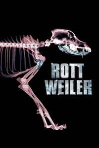 Rottweiler - Poster
