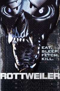 Rottweiler - Poster