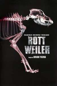 Rottweiler - Poster