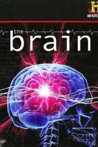 The Brain - Poster