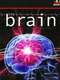 The Brain