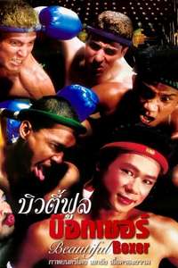 Beautiful Boxer - Poster