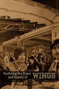 Restoring the Power and Beauty of Wings - Poster