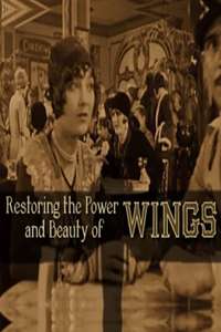 Restoring the Power and Beauty of Wings - Poster