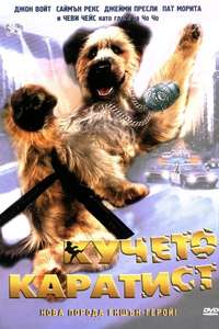 The Karate Dog - Poster