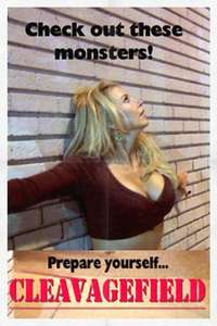 Cleavagefield - Poster