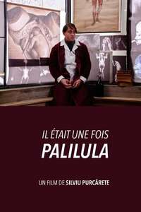Somewhere in Palilula - Poster