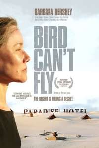 The Bird Can't Fly - Poster