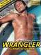 Wrangler: Anatomy of an Icon