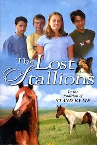 The Lost Stallions - Poster