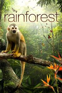Rainforest 3D - Poster