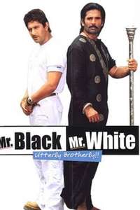 Mr. White Mr. Black - Poster