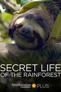 Rainforest 3D - Poster