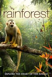 Rainforest 3D