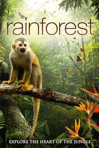Rainforest 3D - Poster