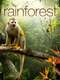 Rainforest 3D