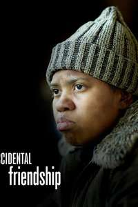 Accidental Friendship - Poster