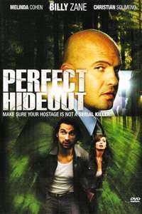 Perfect Hideout - Poster