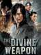 The Divine Weapon
