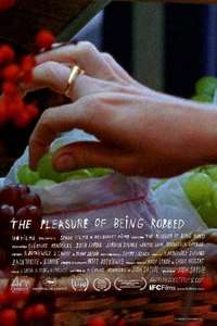 The Pleasure of Being Robbed - Poster