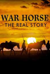 War Horse The Real Story