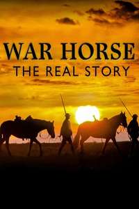 War Horse The Real Story - Poster