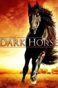 The Dark Horse - Poster