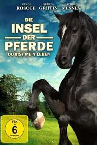 The Dark Horse - Poster