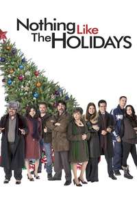 Nothing Like the Holidays - Poster