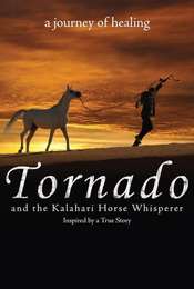 Tornado and the Kalahari Horse Whisperer