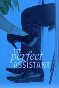 The Perfect Assistant - Poster